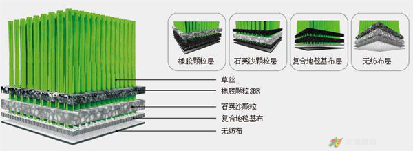 球場草坪（門球、排球、羽毛球、網球、籃球等